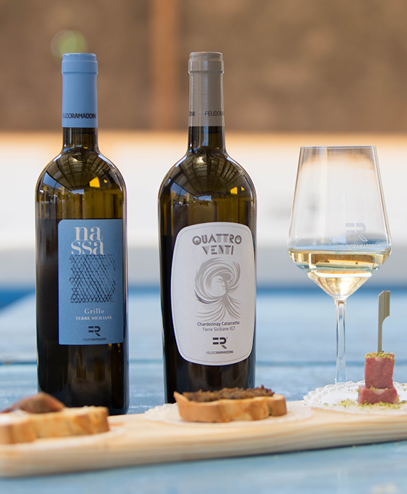 degustazioni-cantina-feudo-ramaddini