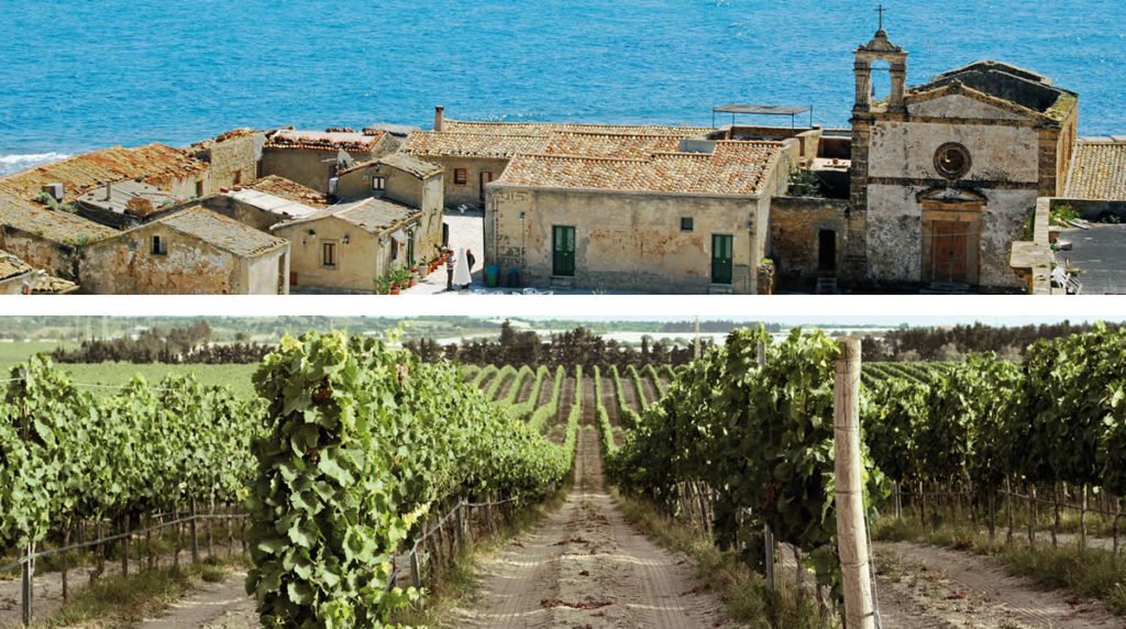 storia del vino sicilia marzamemi storia del vino sicilia marzamemi