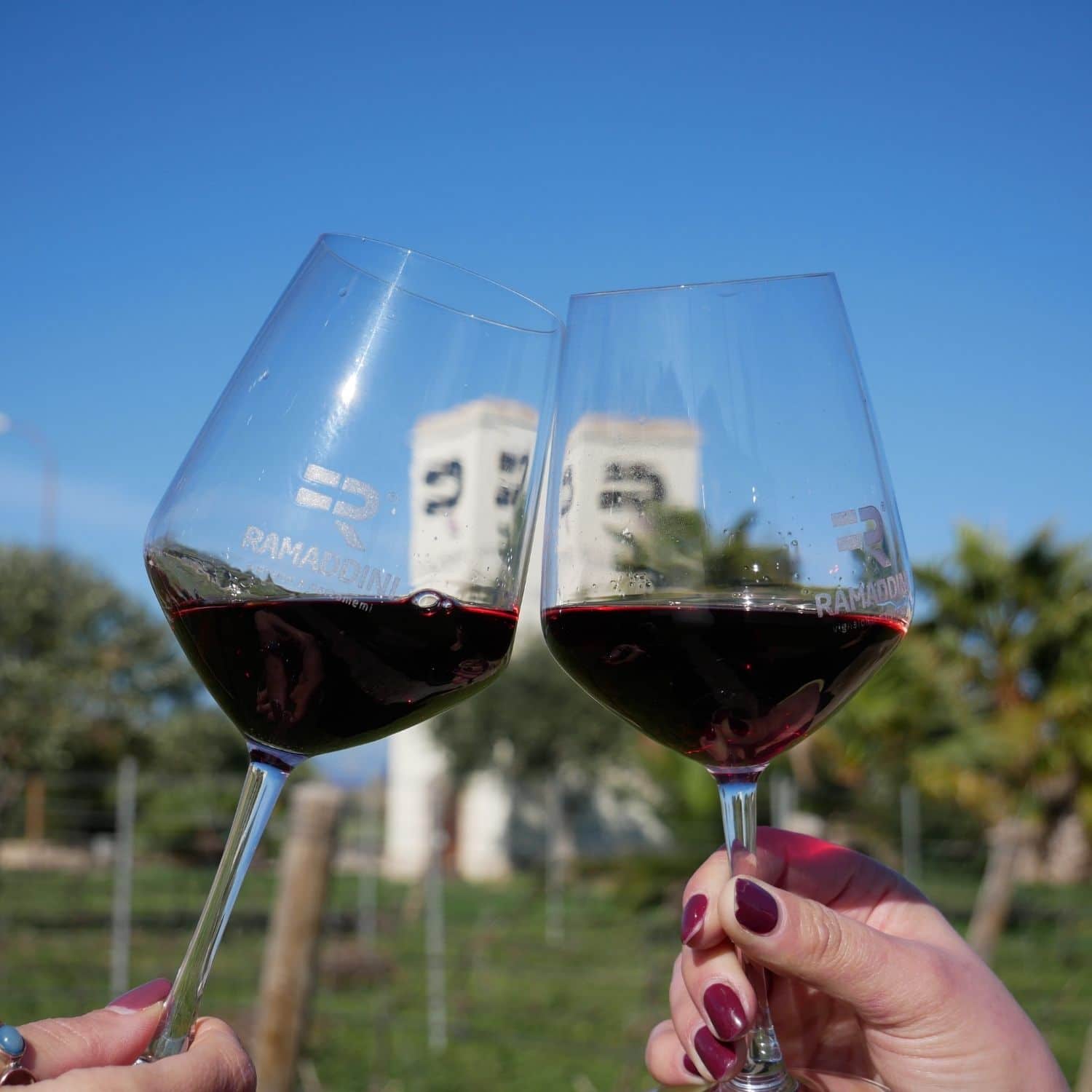 brindisi vini ramaddini